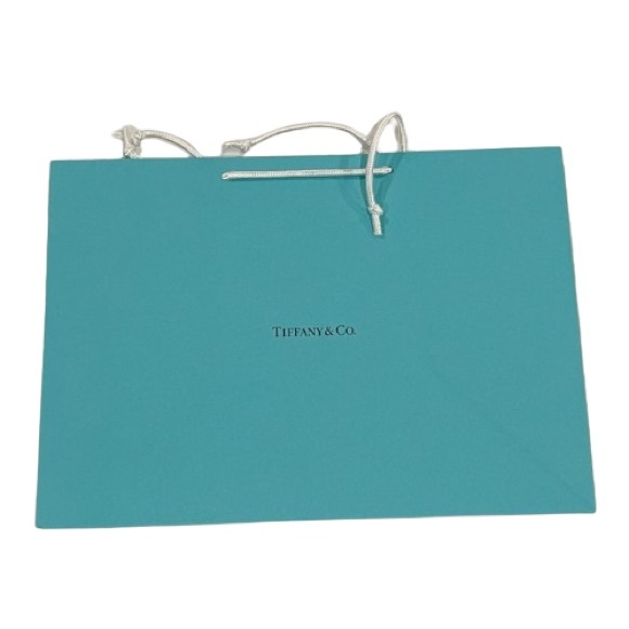 3/$40 NEW Tiffany & co shopping bag large rectangle size! - Picture 1 of 4
